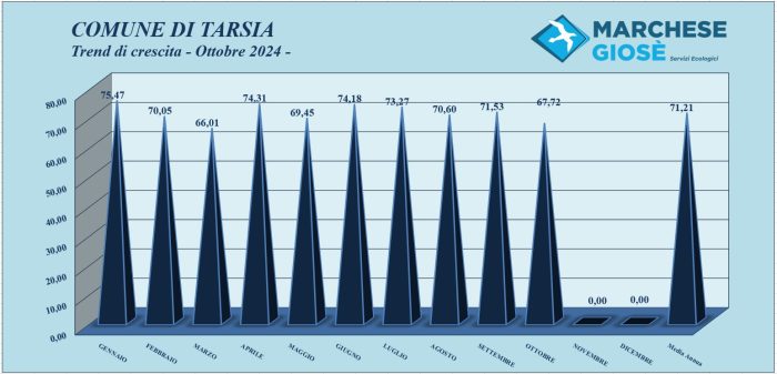 Trend mese Ottobre 2024 Tarsia